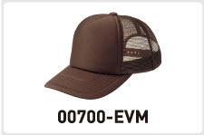 00700-evm